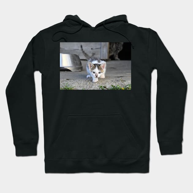 Kitty II Hoodie by RaphaelWolf